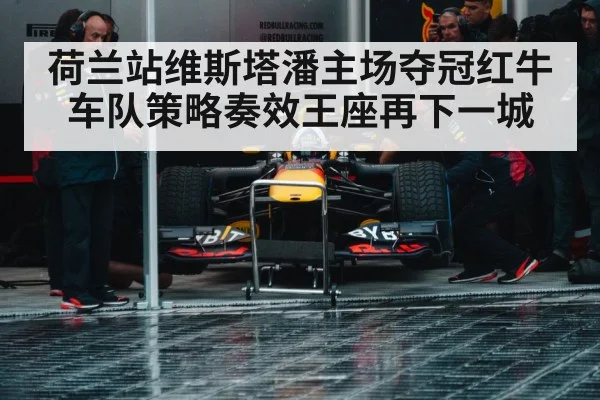 Red Bull racing pit stop